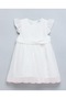 Embroidered Fit & Flare Dress With Crew Neck And Flutter Sleeves
