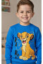 Boys Cotton Transitional Top and Bottom Set - 3