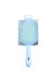 Hair Brush Blue