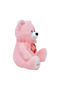 47 cm Pink Plush Bear – Special Large Plush Toy for Lovers with Heart and I Love You Written on It - 4