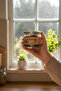 Chicory Coffee 150 Gr Glass Jar – 60 Servings Granulated Coffee, Smooth to Drink - 6