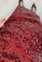 Strappy Sequin Long Dress - Red Red - 6