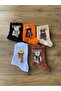 Set of 5 Teddy Bear Teddy Bear Patterned Colorful Tennis Socks - 3