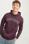 سويت شيرت رجالي من Caleb Varsity باللون العنابي (12256521-VW) - 6