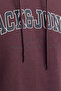 سويت شيرت رجالي من Caleb Varsity باللون العنابي (12256521-VW) - 4