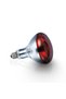 Infrared Bulb 250W