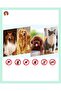Paw Patterned Stainless Steel Tick Remover Dog and Cat Comb - 7
