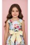 Girls' Special Occasion Dress - 3