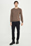 Men's Brown Wool Standard Fit Regular Cut Crew Neck Jacquard Knitwear Sweater - 2