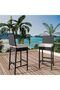 2-Pack Wicker Rattan Outdoor Barstools with Removable Cushions for Outdoor Garden & Backyard