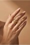 Helix Steel Gold Ring - 5
