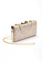Women's Evening Dress Stylish Bag with Straps