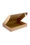 IFTHAR MEAL BOX 44*8*29 ( 1*100 ) s - 4