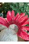 Luxurious Crystal Stone Embroidered High-Topped Feathered Henna Night Special Occasion Bridal Crown Burgundy Red Crown - 2