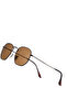 Hexa Round Brown Unisex Sunglasses