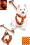 Fan Series Dog Chest Harness and Walking Strap Set