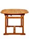 Garden Dining Table (160-240)x100x75 cm Solid Acacia Wood - 6