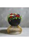 Metal Plant Stand with Pot – Gold & Black Mild Steel Indoor Planter - 2