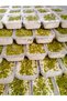 2 Packs of Halva with Date Sirup and Antep Pistachios (400 g * 2 Pieces) - 4