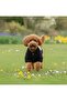 Handmade Welsoft Dog Jacket - Dog Clothing - Winter Coat - Small Breed - Medium Breed - Large Breed - 2