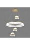 Modern Hanging LED Chandelier - 50 cm