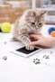 Cat & Dog Paw Print Removal Apparatus |   Pati Printing Pad + Card |   Souvenir Set