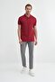 Polo Collar Claret Red Men's T-Shirt 46130 - 2