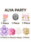 Party Fairy Girl with Plenty of Balloons Birthday Set Birthday Concept - 2
