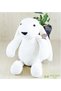 "Soft Rabbit Sleeping Friend Is Here!"