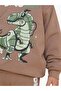 Boy's Dinosaur Printed Cotton Tracksuit Set - 4