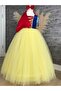 Snow White Costume with Tarlatan Cloak and Crown Gift - 5
