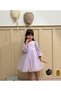 Lilac Long Balloon Fabric Baby Girl Dress with Tutu under the Arms - Cinderella - 4