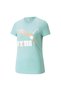 CLASSICS Logo Kadın T-shirt
