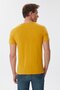 Hardy Men's 100% Cotton Crew Neck T-Shirt Mustard - 4