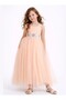 ✨   Tutu Fluffy Party & Holiday Girl's Dress - 3