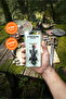 Dragon Figure Keychain, Gift Bag Accessory, and Movable Toy |   Toothless (Dişsiz) - 3