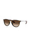 Sunglasses Rb4171 54 865/13
