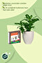 Cocopeat Sıkıştırılmış Torf 5 lt - 4