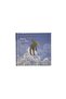 Cloudy Sky Sketch Book Hard Cover Hardcover 14X15 cm 175 Gr 38 Pages