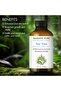 Tea Tree Essential Oil – Large 118 ml Bottle - 4