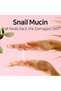 Snail Truecica Miracle Repair Serum, 50ml - 2