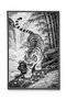 Mosso Gray Tones Tiger in the Forest Pattern Woven Base Modern Decorative Carpet Mosso2156