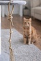 Natural Jute Rope Cat Toy / Cat Tassel / Cat Rope 60 cm - 3