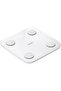 Body Fat Scale S400 white