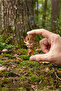 Dark Forest Spirit Keychain Tree Figure Backpack Accessory |   Knotz - 6