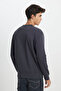 Regular Fit Regular Cut Crew Neck Fleece Inside Anthracite Sweatshirt - 4
