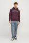 سويت شيرت رجالي من Caleb Varsity باللون العنابي (12256521-VW) - 2