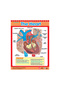 Exploring the Human Body (6 Wall Charts) - Educational Wall Chart Pack in English - 5