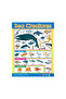 Nature's Wonders (6 Wall Charts) - Educational Wall Chart Pack in English - 3
