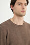 Men's Brown Wool Standard Fit Regular Cut Crew Neck Jacquard Knitwear Sweater - 4